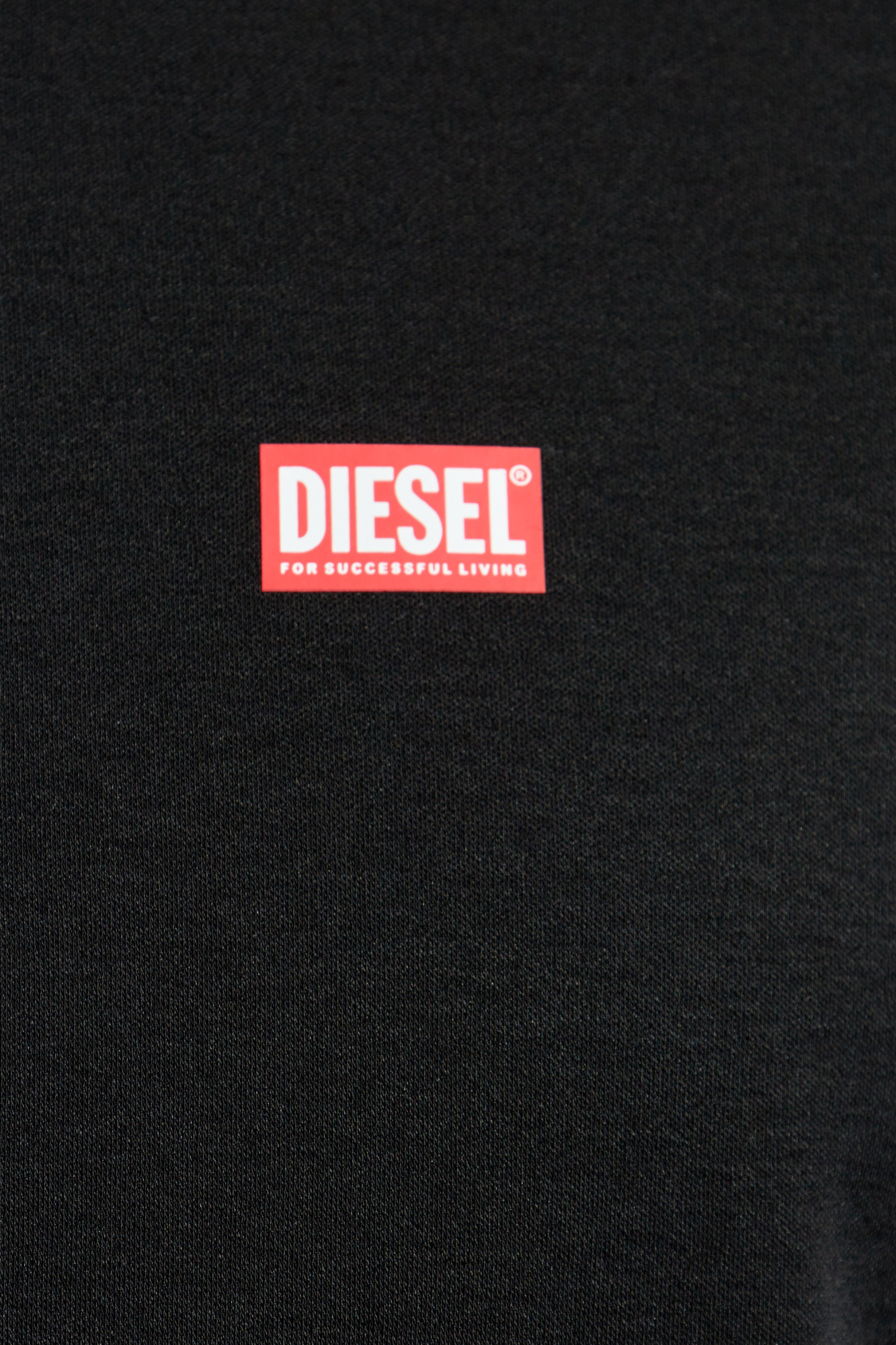 Diesel T-shirt 'T-MIEGOR-K77' | Men's Clothing | Vitkac